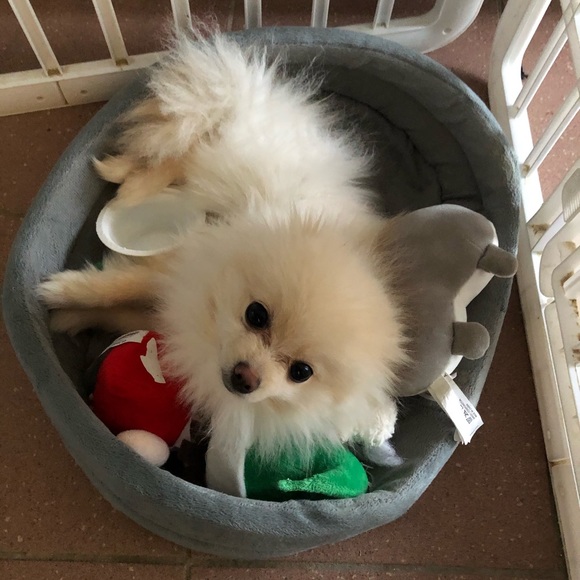 Meet your Posher, Ajacqueline - Picture 5 of 5